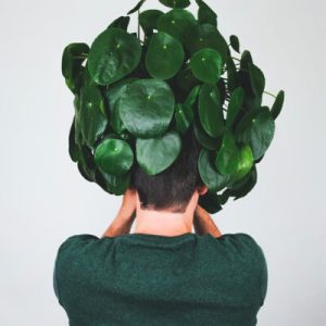 Plants Store Gallery Img 3 300x300