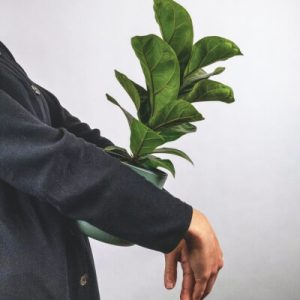 Plants Store Gallery Img 6 300x300